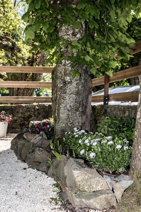 Hotel Saint Pierre Les Sauvages  ภายนอก รูปภาพ