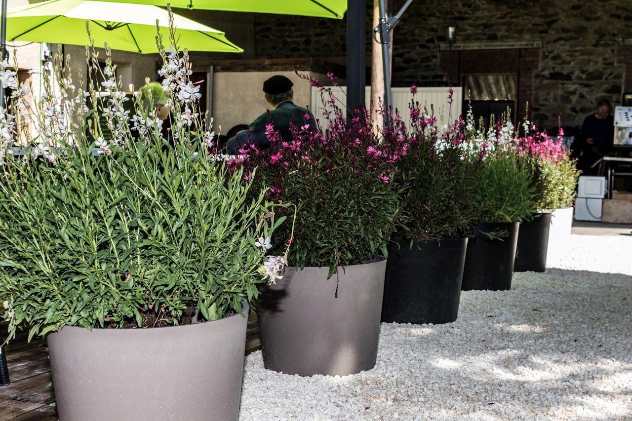 Hotel Saint Pierre Les Sauvages  ภายนอก รูปภาพ